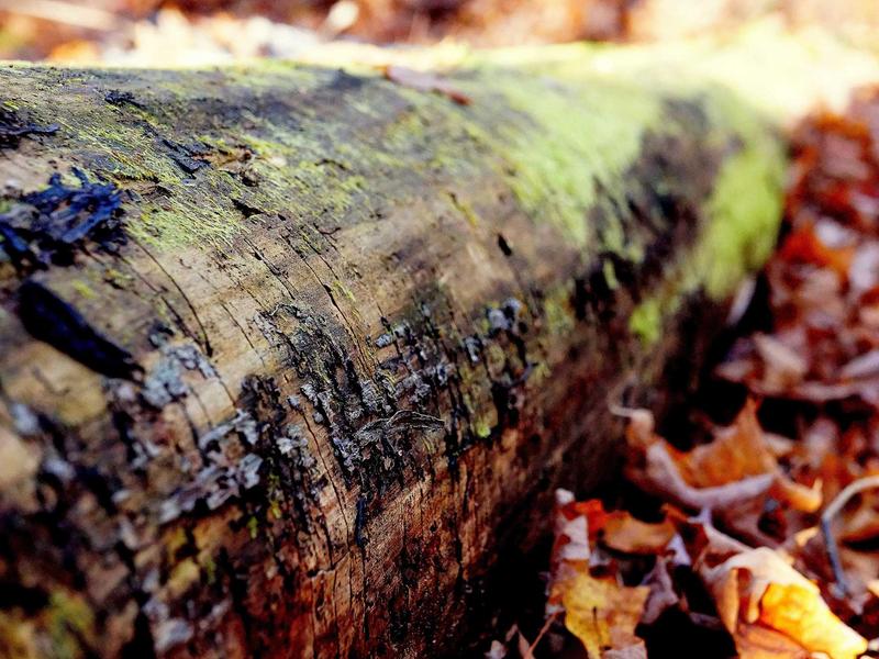 sudoku daily streak screenshot 3